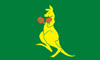 Boxing Kangaroo